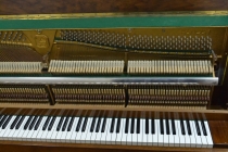 Фортепиано Ronisch 106