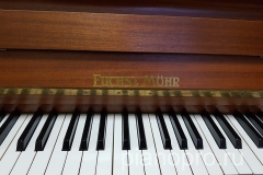 Fuchs & Möhr