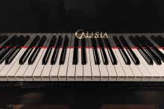 Calisia