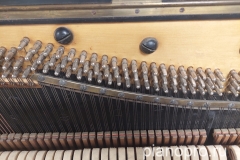 Bechstein