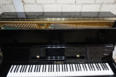 Hoffmann