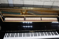 Hoffmann