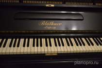 Пианино Bluthner