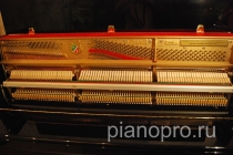 Фортепиано Petrof p118 s1