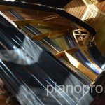Рояль Bluthner