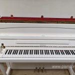 IMG20250301134716