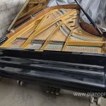 IMG20250306205340