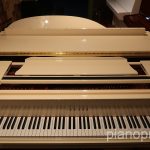 IMG_3884
