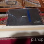 IMG_3894
