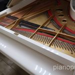 IMG_6470