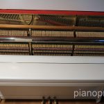 IMG_6938