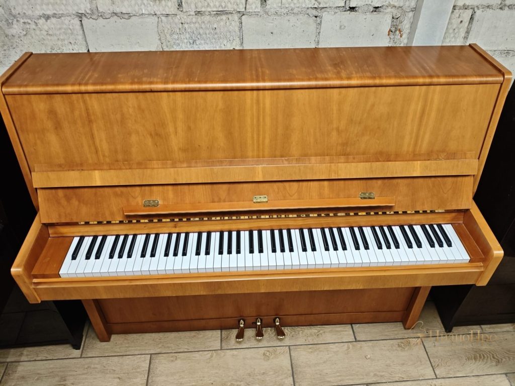 Riegel-Kloss 118 Moderna — общий вид